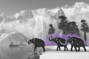 Herd of woolly mammoths