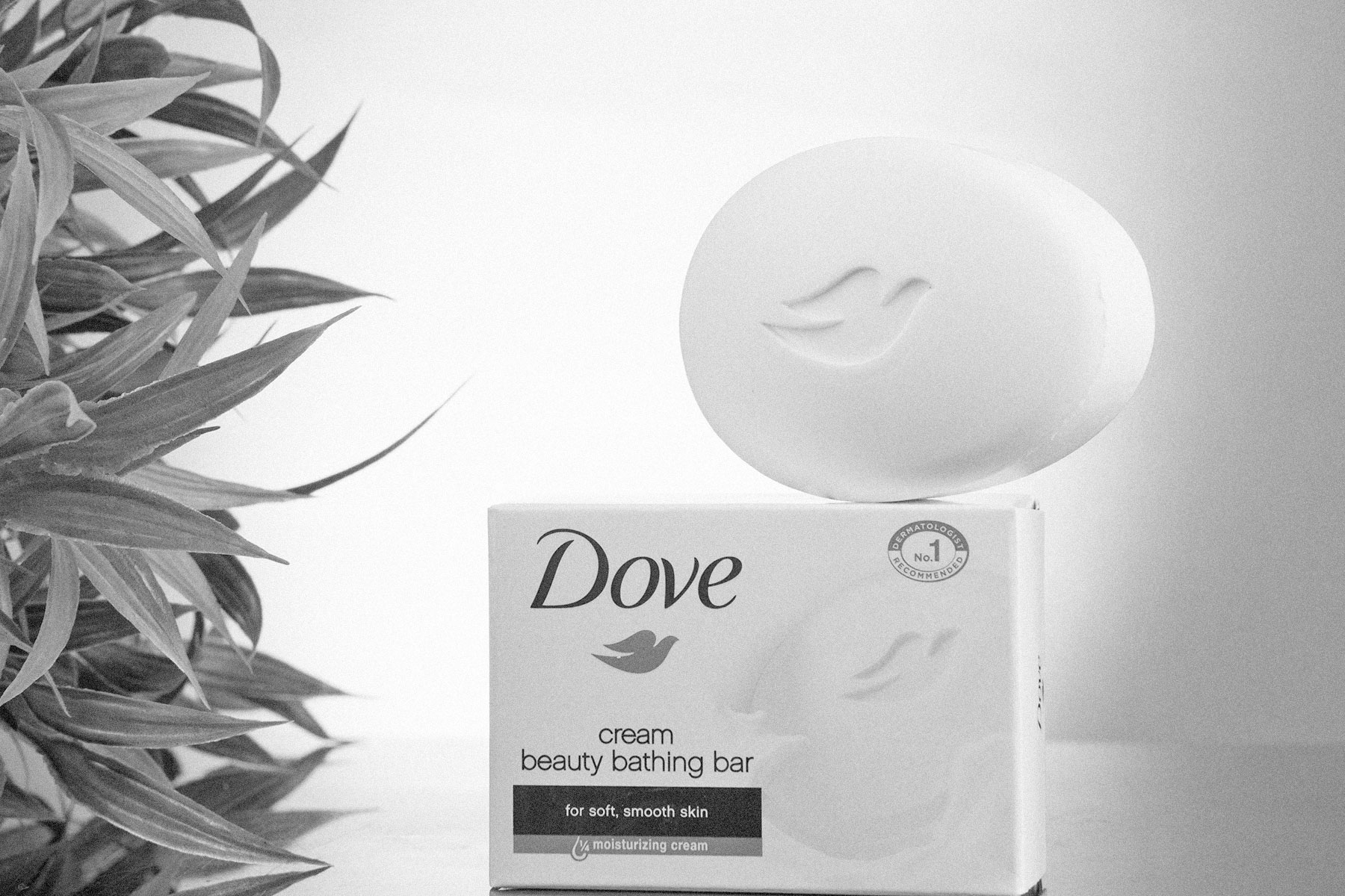 Dove soap bar