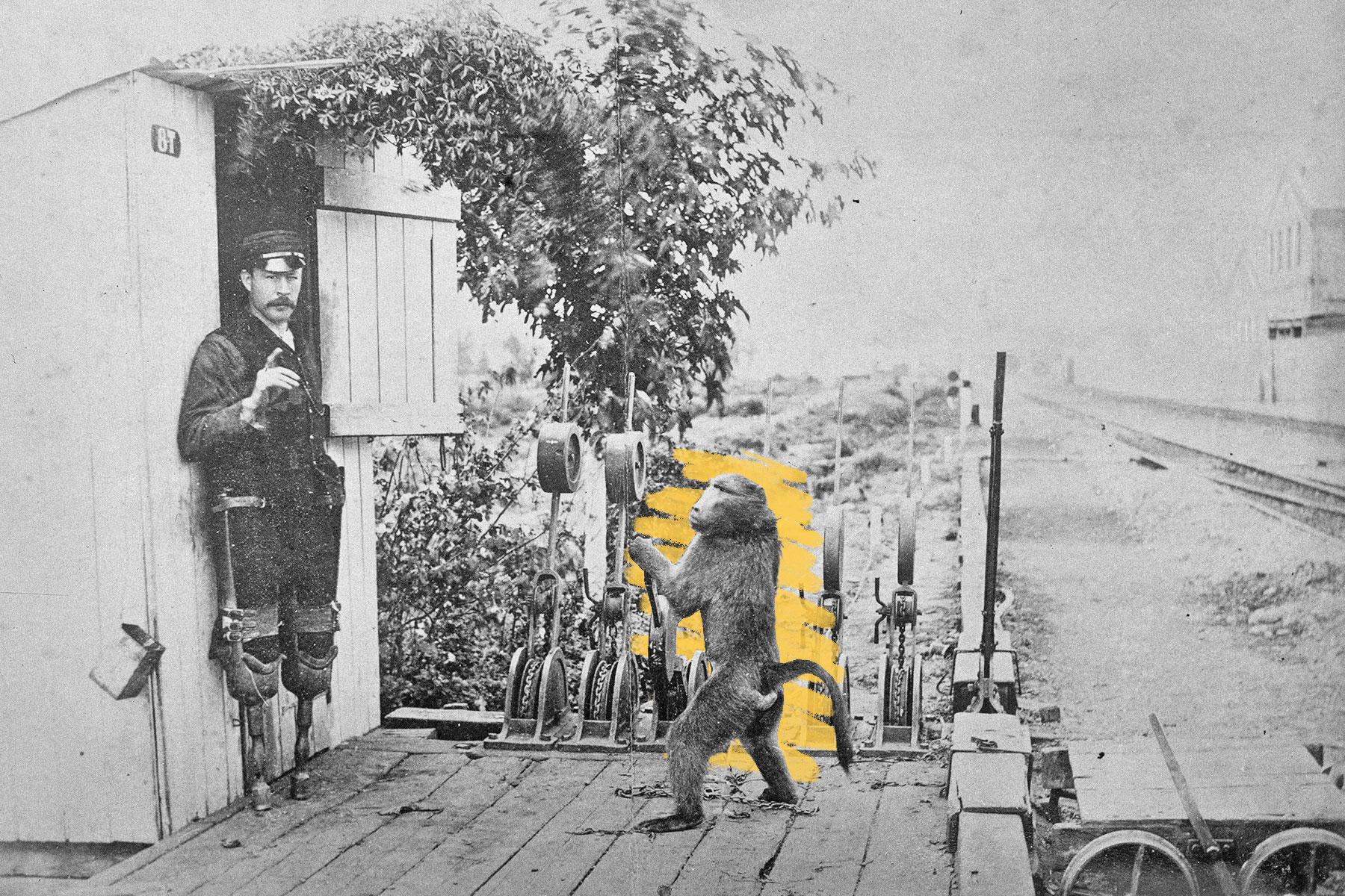 Rail signal man and baboon
