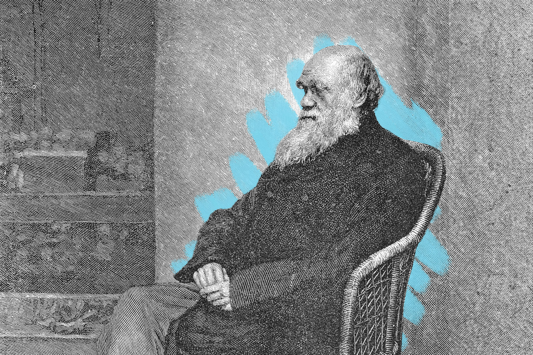 Charles Darwin portrait