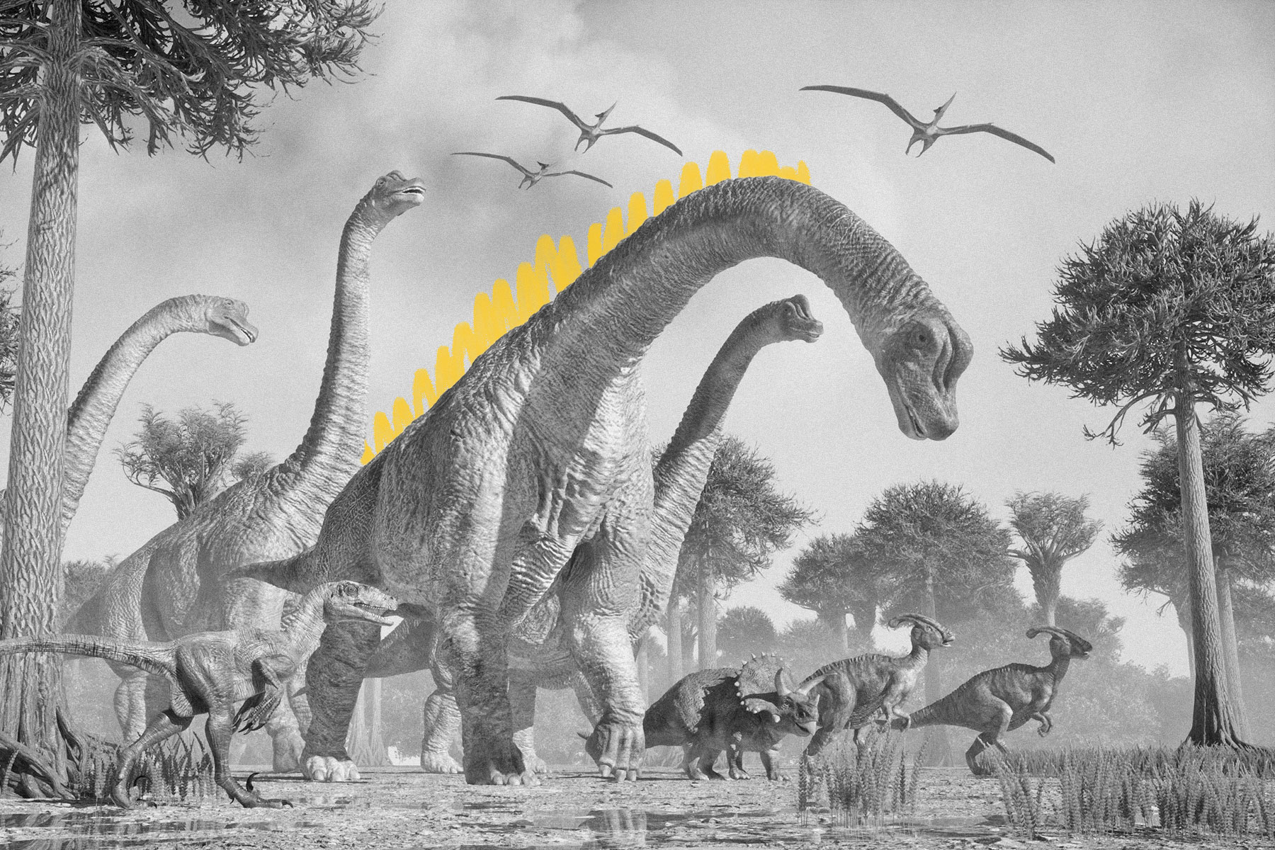 Mesozoic dinosaurs