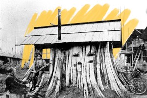 Cedar stump house, Edgecomb, Washington